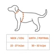thumbnail image 5 of Wahl 2-in-1 Explorer Dog Backpack and Harness, 5 of 5