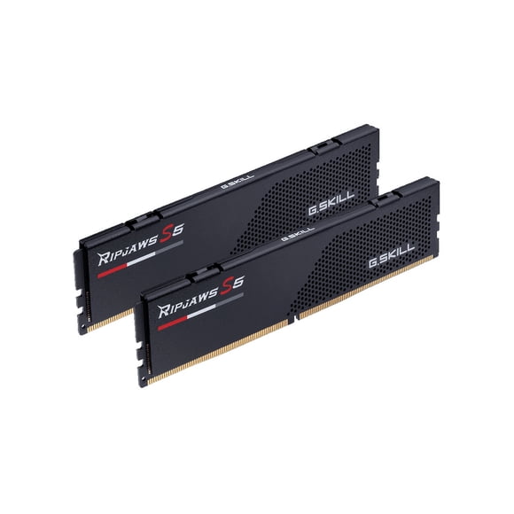G.SKILL Ripjaws S5 Series 64GB (2 x 32GB) 288-Pin PC RAM DDR5 6000 (PC5 48000) Desktop Memory Model F5-6000J3636F32GX2-RS5K