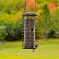 thumbnail image 2 of Perky-Pet Squirrel Stumper Wild Bird Feeder, 2 of 7