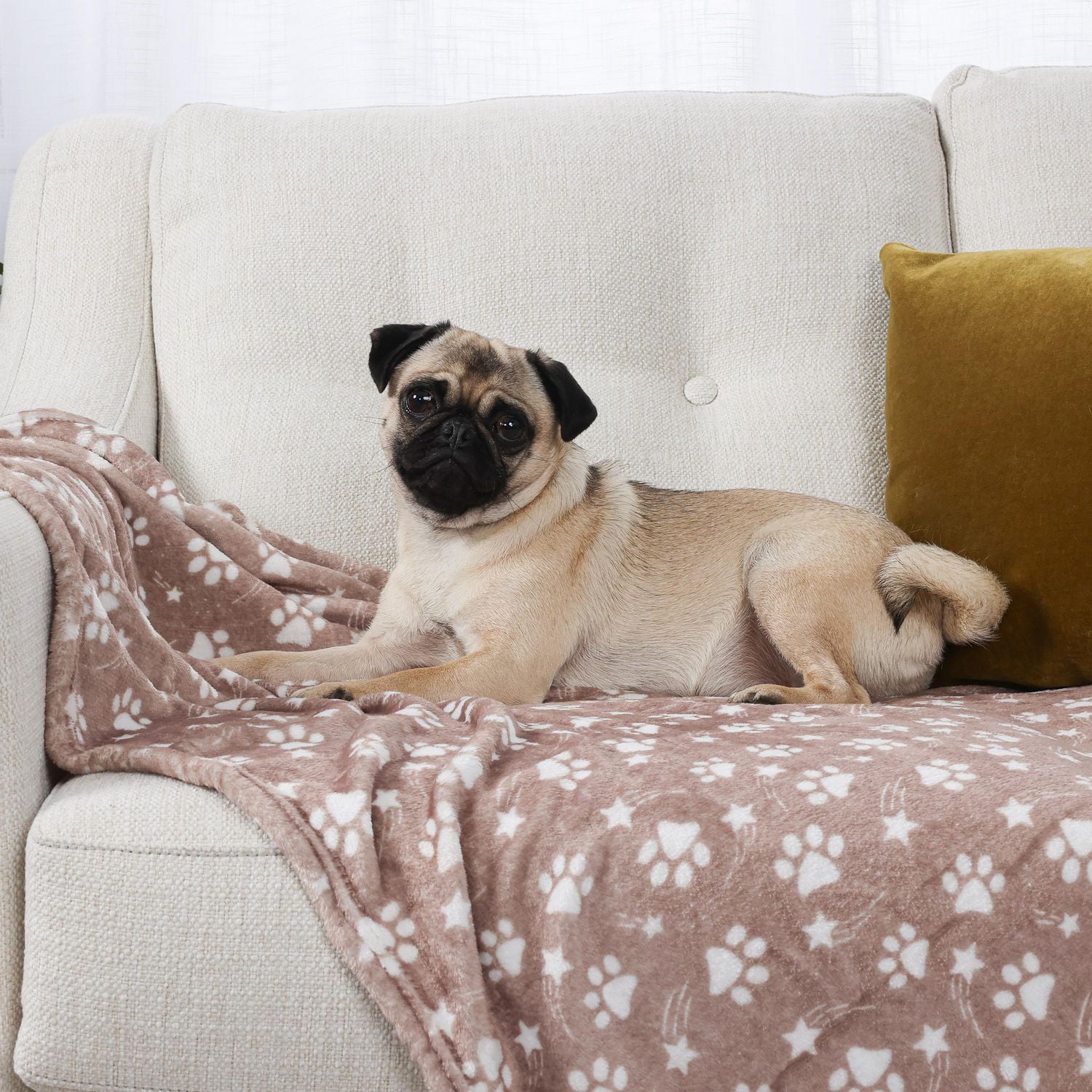 Lot de 2 Couvertures pour Chien, Couvertures pour Animal de Compagnie, 36 Pouces x 45 Pouces