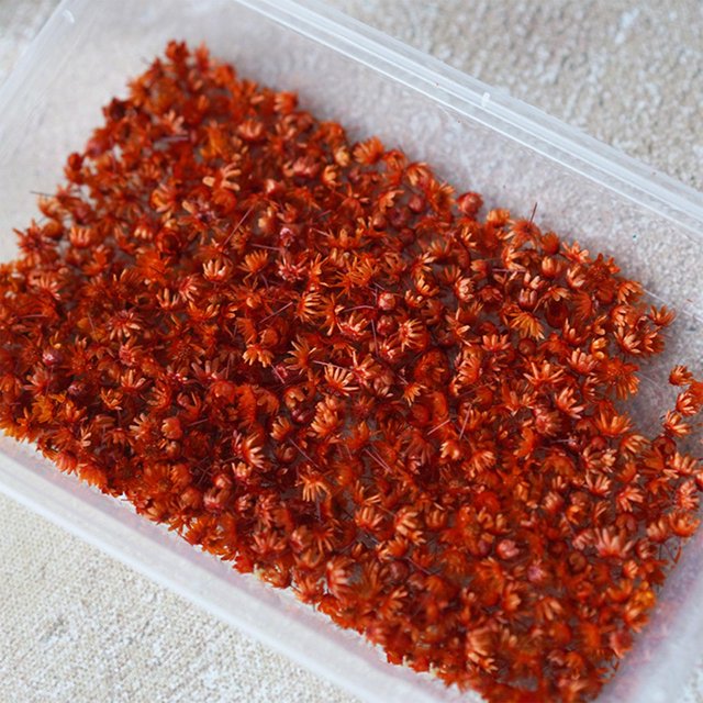 Real Dried Flower For DIY Art Craft Epoxy Resin Candle 2022 Glass Making M9C8