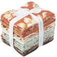 thumbnail image 1 of My Mind's Eye Shades of Autumn 24 Fat Quarters Riley Blake Designs FQ-13470-24, 1 of 3