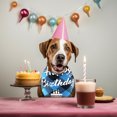 thumbnail image 3 of VONKY Pet birthday drool bib scarf, 3 of 9