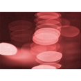 thumbnail image 1 of Ahgly Company Machine Washable Indoor Rectangle Transitional Dark Red Area Rugs, 7' x 10', 1 of 7