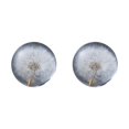 thumbnail image 2 of Baohd Exquisite Flower Crystal Ball Adding Elegance To Space Easily Portable Dandelions 6cm 2Set, 2 of 6