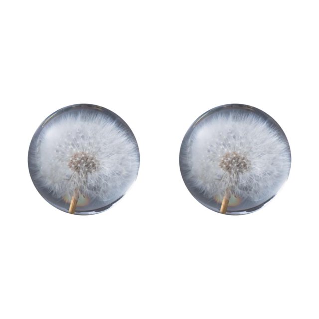 Baohd Exquisite Flower Crystal Ball Adding Elegance To Space Easily Portable Dandelions 7cm 2Set