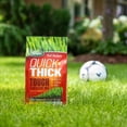 thumbnail image 4 of Scotts Turf Builder Quick + Thick semence de gazon mélange robuste et résistant, 4 of 6