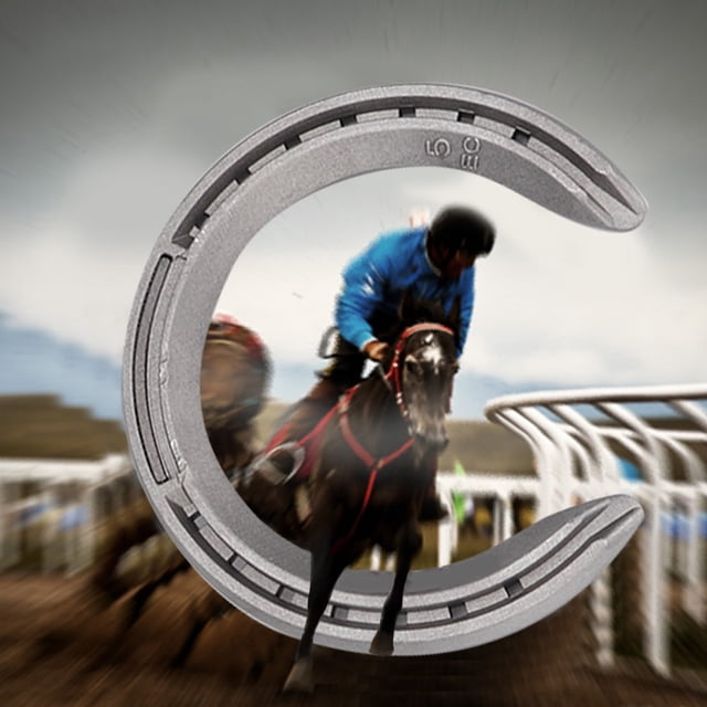 4Pcs Durable Aluminium Alloy Horseshoe Kit for Horse Riding Accessories