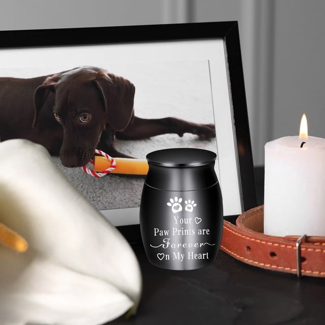 Urne pour Animaux Pot Commémoratif Chats Chien Produits Funéraires Urne en Alliage Scellée