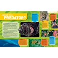 thumbnail image 3 of CMMI ULTIMATE PREDATORPED, 3 of 6