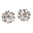 thumbnail image 1 of KLKCMS 2 Pcs Clips Élégants en Strass Bijoux Décoration Cristal Boucle Talons, 1 of 8