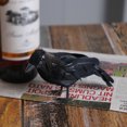thumbnail image 4 of kurtrusly Resin Halloween Black Crow Ornament High Simulation And Clear Texture For Festive Ambiance Crooked crow 1Set, 4 of 6