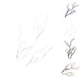 thumbnail image 4 of 3Pcs Large Wedding Decoration Branch Simulation Plastic Dried Tree Branches Simulation Tree Branches Artificial Fake Foliage Plant Xingzhi, 4 of 9