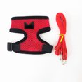 thumbnail image 1 of Chicken Leash Pet Chicken Leash Pet Leash, 1 of 4