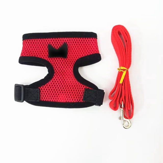 Chicken Leash Pet Chicken Leash Pet Leash