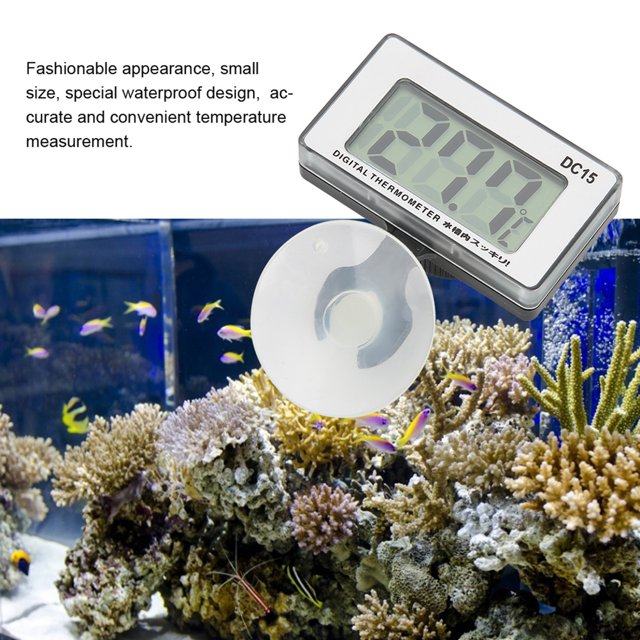 Aquarium , Convenient Fish , For Outdoor Aquarium Use Outdoor Use Indoor