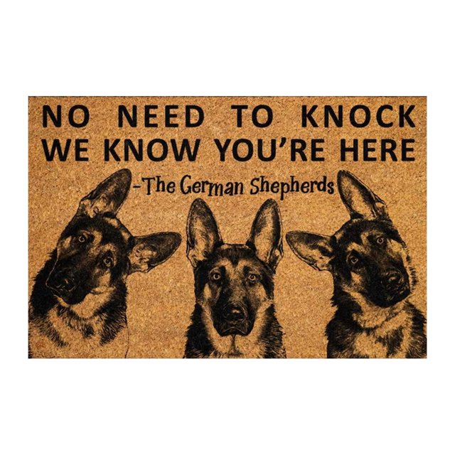 Coir Mat Thin Indoor Mat for Back Door Rugs for Outdoor Indoor Non-Slip Backing Entry Mat Low Profile Doormat for Entryway Rugs for Front Door Entry Indoor Outdoor Decor, 16x24 Inch