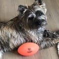 thumbnail image 2 of Squeak & Glow Football Dog Toy, 2 of 4