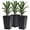 Noir, variante sur Outsunny Ensemble de 3 Grands Bacs à Plantes, Ensemble de Pots de Fleurs pour Intérieur et Extérieur, Noir