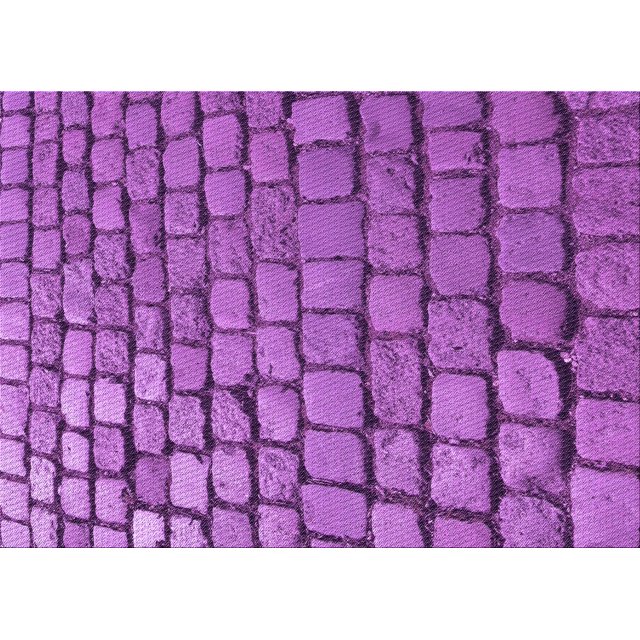 Ahgly Tapis Rectangulaire Lavable en Machine Intérieur Transitionnel Orchidée Foncée Violet, 4 Pieds x 6 Pieds