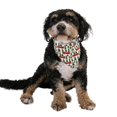thumbnail image 3 of Flapjacks Pyjamas Assortis pour Chien Bébé & Enfants Adolescents et Adultes (Tailgate Moyen), 3 of 7