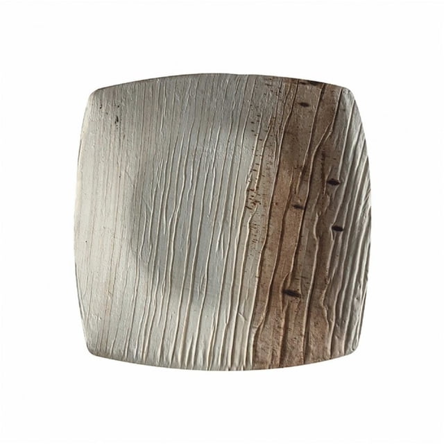 Assiette Carrée à Dessert de 4 Po/assiette à Feuilles de Martin Bio/naturelle, Écoresponsable, Robuste, Réutilisable, Compostable Biodégradable pour Cour Arrière, Fourniture Jetable/fête à Thème, Mariage/lot de 10, 50 Ou 100