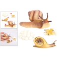 thumbnail image 3 of Cycle de Jouets de Modèle de Figure Animale pour les Enfants Qui Apprennent l'Enseignement, 3 of 7