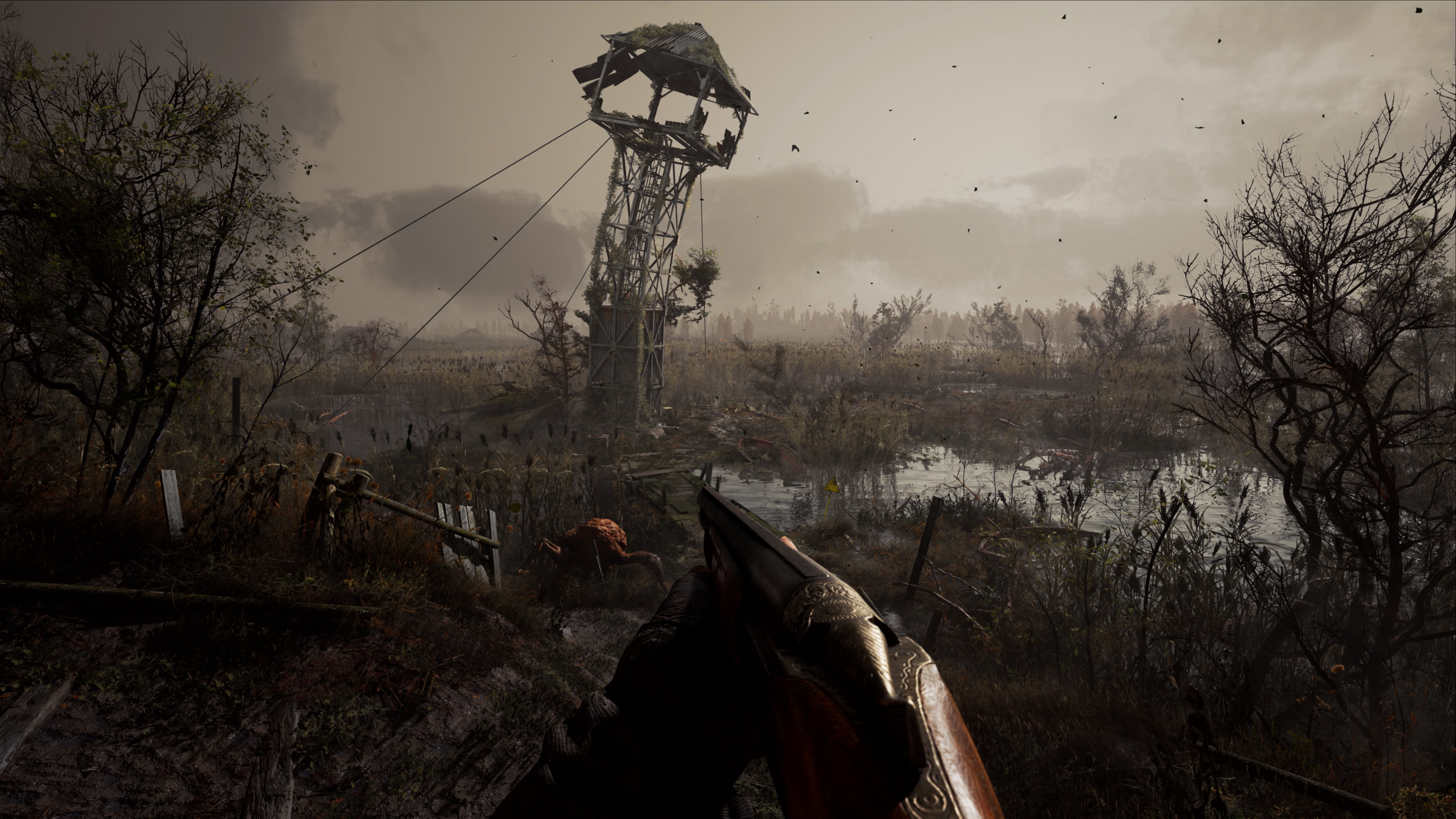 Jeu vidéo S.T.A.L.K.E.R 2 Heart of Chernobyl pour (PS5)