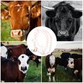 thumbnail image 2 of Rope Cattle Halter Professional Cattle Halter Wear-resistant Rope Halter for Cattle Traction Tool, 2 of 8