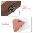 thumbnail image 3 of Phenofice Entomology Display Box Insect Specimen Photo Frame Display Glass 1Pcs, 3 of 5