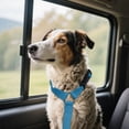 thumbnail image 3 of Binwennn Car Pet Belt Dog Car Leash Cute Pet Car Adjustable Rope Rope No Dogs Leash Sleeve Dog Leash Leather Training Leashes for Large Breed Dogs berry Dog Leash Dog Leash with Two Handles Dog, 3 of 4