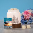 thumbnail image 4 of ScentSationals, Cubes de cire parfumés - Nuages ​​des Caraïbes, 4 of 4