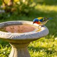 thumbnail image 4 of Tong Efficient Bird Bath For Outdoor Use – Cleaning For Bird Bath And Garden Care, 4 of 6