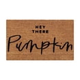 thumbnail image 2 of Halloween Door Mat Printed Carpet Non-Slip Entry Door Mat, Absorbent Bathroom Kitchen Entryway Mat with Halloween Theme,Machine Washable for Indoor and Outdoor Door Mats Outdoor, 2 of 2