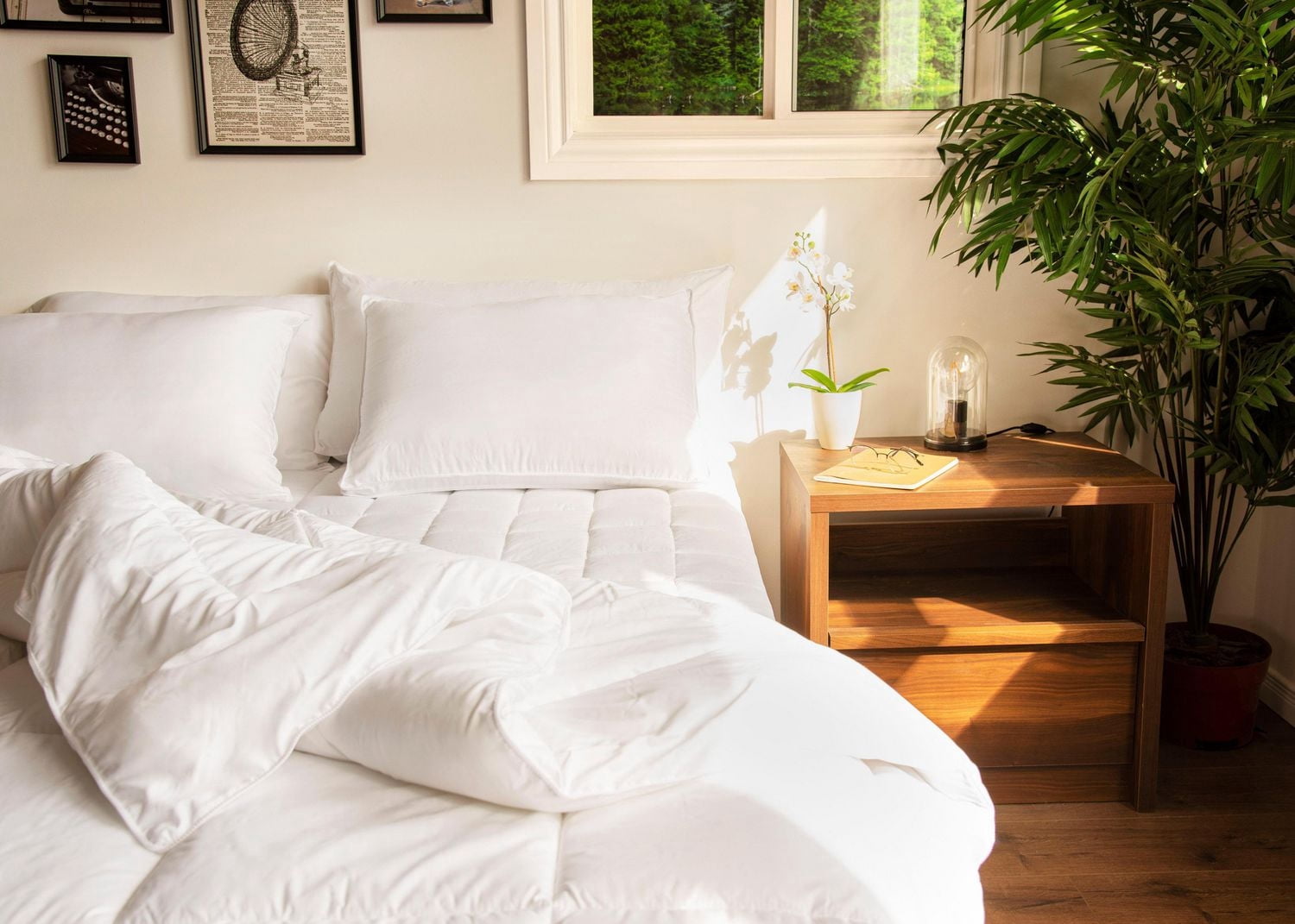 Couvre-matelas en polyester de la collection Chateau pour lit simple