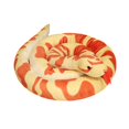 thumbnail image 4 of Cartoon Realistic Animal Shaped Long Snake Pillow Large Funny Stuffed Animal for 1.9m Aureate, 4 of 9