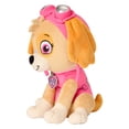 thumbnail image 3 of Paw Patrol "Fearless Skye" Weighted Pillow, 3 of 4