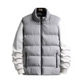 thumbnail image 3 of LUXUR Manteau à Fermeture Éclair Complète pour Hommes Mode Automne Gris G, 3 of 3