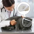 thumbnail image 3 of Milaget Transparent Cat Muzzle Anti Bite Protection , Prevent From Cats Biting Small, 3 of 8