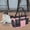 Pink, variant on Small Pet Carrier Bag Airline Approved Travel Purse Ventilated Soft Mesh Cat Carrier for Kittens Puppy, Lightweight Shoulder Tote for Hiking Shopping