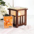thumbnail image 4 of ScentSationals Scented Wax Cubes - Tangerine Twist, 4 of 4