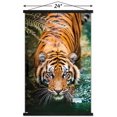 thumbnail image 2 of Tiger - Water Wall Poster, 22.375" x 34" Framed, 2 of 4
