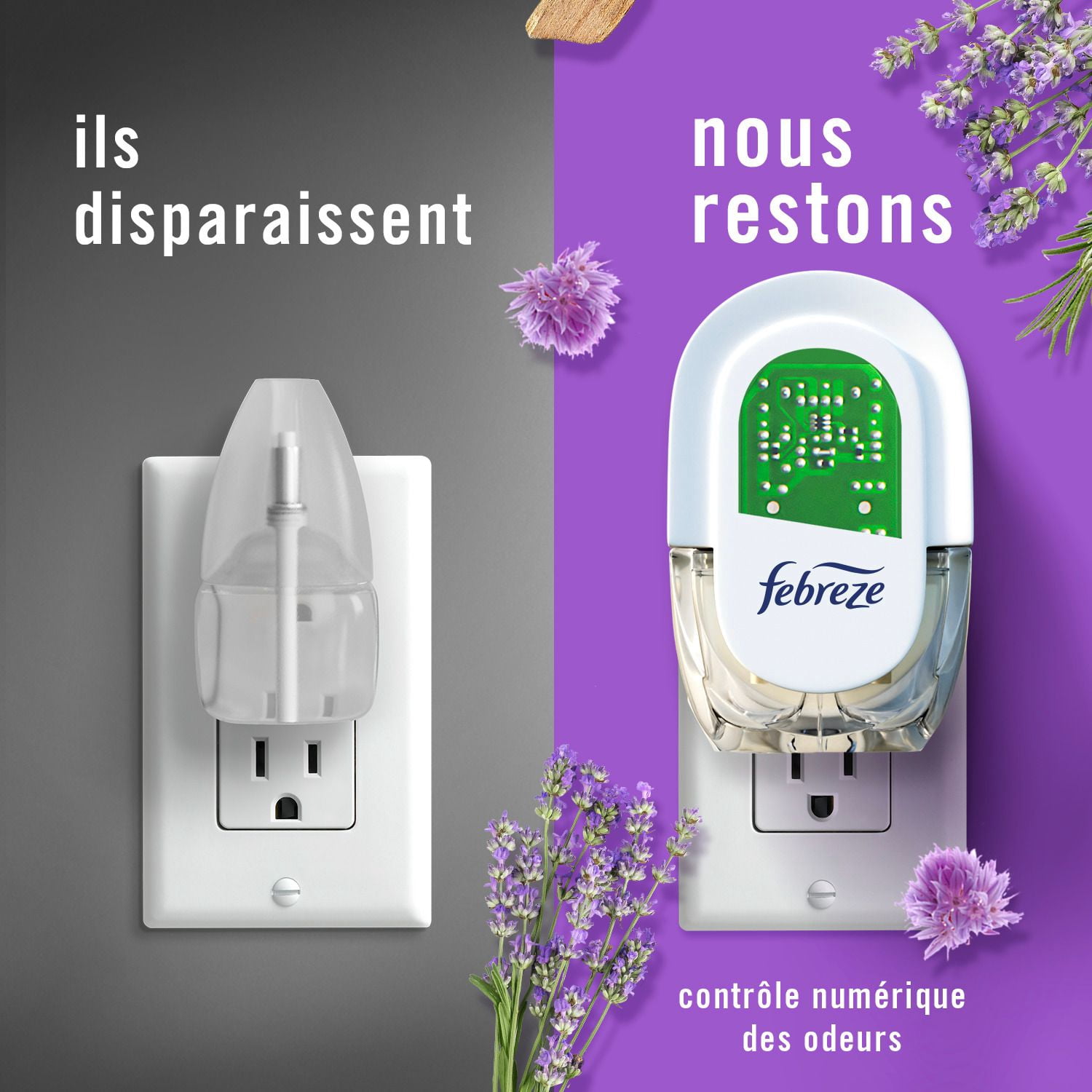 Febreze Désodorisant à Brancher, Recharge d'Huile Parfumée Anti-Odeurs, Parfum Rêves de Lavande, 3 Recharges
