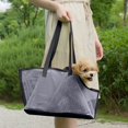 thumbnail image 4 of Hearth & Gear Pet Ca Rrier Backpack For Summer Breathable & Lightweight 45° Neck Design Buckle Pet Friendly Travel Bag For Small Dogs & Cats Protective Film Door Dog Accessories for Dog Leashes Puppy, 4 of 4