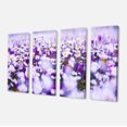 thumbnail image 2 of Daisy Field Photography Panorama - Floral Canvas Art Print, 2 of 3