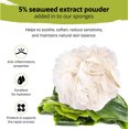 thumbnail image 3 of Seaweed Extract Bath Shower Loofah Sponge Pouf Body Scrubber Exfoliator (Set of 3), 3 of 7