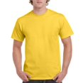thumbnail image 1 of Gildan T-Shirt Ultra Coton pour Hommes, 3TG, Daisy, 1 of 2
