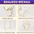 thumbnail image 4 of sdhkgrrt under $5 Halloween Skeleton, Halloween Skeleton Decoration Props,Life-Size Simulation Skeleton,Scary Holiday Scene Decor,Movable Joint Skeleton Figure,Halloween Party Supplies, 4 of 9