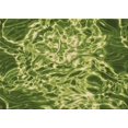 thumbnail image 1 of Ahgly Tapis Rectangulaire Lavable en Machine Vert Transitionnel, 2 Pieds x 4 Pieds, 1 of 7