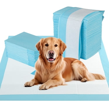 Gymax 36 Pieds' x 36 Pieds' (100 Unités) Tapis d'Entraînement pour Chien Tapis Pipi pour Chiot avec Séchage Rapide